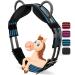 Esposita riding strap with 2 leather handles for holding on for children and riders - also suitable as a lunging belt vaulting belt or as a wooden horse accessories WB / full blue -black