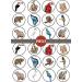 PRECUT Rainforest Animals Edible Cupcake Toppers - Jungle Animals Theme Premium Thickness SWEETENED VANILLA - wafer card disc cake decorations (Pack of 24) - Buy Online on SooperMarket.com