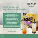 Mayde Boba Bubble Tea Kit: Make 30+ Drinks with Instant Boba, Matcha, Fruit Tea, and Assorted Tea Varieties - DIY Boba Kit with Fantasy Fruit Puree - Buy Online on SooperMarket.com