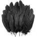 UNEEDE 120Pcs 6-8 Inch Black Feathers  Natural Goose Feathers for DIY Halloween Decorations  Cosplay  Gothic Costumes & Crafts