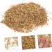 FRCOLOR 1 Glass Chip Nail Art Crushed Glass Metallic Chips for Nail Arts Resin Art Glitter Craft Crushed Glass Crushed Crystal Chips Glass Nail Flakes Glitter Colored Thick Flash Powder 3D 0.5X0.3cm Golden - Buy Online on SooperMarket.com