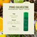 Pino Silvestre Deodorant Body Spray for Men - Long Lasting Sandalwood & Musk Fragrance - 6.7 Oz Cologne - International Shipping Available - Buy Online on SooperMarket.com