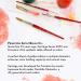 Princeton Synthetic Sable Brush Round 5/0 - Ideal for Watercolor & Acrylic - Buy Online on SooperMarket.com