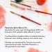 Princeton 4050 Synthetic Sable Watercolor Brush - Size 10 Round, Short Handle - Buy Online on SooperMarket.com