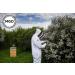 Manuka Doctor MGO 725+ Monofloral Manuka Honey - 100% Pure New Zealand Honey | Certified, Guaranteed, RAW | Non-GMO (8.75 oz) - Buy Online on SooperMarket.com