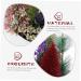 HOMSFOU 5pcs Christmas Simulation Potted Plant Tiny Christmas Tree Christmas Pine Tree Artificial Plant for Desk Decor Fake Plant Christmas Plant Decoration Small Plant Plastic Office Mini Goldenx5pcs 21X11cmx5pcs - Buy Online on SooperMarket.com