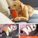 LUKITO Indestructible Dog Toys Dog Toys Indestructible for Dog Birthday Dog Chew Toys for Aggressive Chewers Tough Dog Toys for Medium/Large Dogs Dog Toys for Boredom with Rubber(3 Pack) colourful - Buy Online on SooperMarket.com