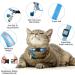 18 Piece Reflective Cat Collars with Bell and Safety Buckles | Durable Nylon Adjustable Collars with 6 Weatherproof ID Tags for Kittens and Puppies - Buy Online on SooperMarket.com
