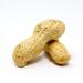 Premium USA Grown Raw Peanuts in Shell for Squirrels - 2.5lb | Unsalted & Jumbo | Boiled Virginia Peanuts | Pack of 1 - Buy Online on SooperMarket.com
