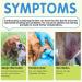 Dog Skin Relief Chews- Itch & Immunity Treats for Allergies - 120 Soft Chicken Flavor Chews - Buy Online on SooperMarket.com
