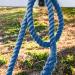TrustBreech 10ft Solid Cotton Lead Rope - Made in USA - 5/8 inch Thick - Heavy-Duty Bolt Snap - Handmade Soft Dark Grey Blue - Buy Online on SooperMarket.com