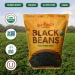 Mayorga Organic Dry Black Beans - USDA Certified, Non-GMO, Gluten-Free - 10 lb Resealable Bag | Direct Trade, Kosher - Frijoles Negros - Buy Online on SooperMarket.com