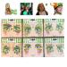 Saint Patricks Day Sets Face Jewels Face Gems Stick On Glitter Face Rhinestones for Makeup with over 130 Face Stickers Jewels Temporary Tattoos Kit for Rave Party Henna Green