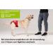 Nature Pet Funeral Pants for Bitches 2.0 - Soft Hygienic Dog Diapers | No Annoying Threading | Large Black (L-L 8) | Ideal for Male Dogs with Incontinence - Buy Online on SooperMarket.com