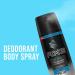 Axe Ice Chill Deodorant Body Spray - Frozen Lemon & Eucalyptus - 4 OZ (113g) - Pack of 3 Cans - Buy Online on SooperMarket.com