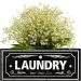 UCUDI Laundry Softener Dispenser Cover & Dryer Sheets Holder Wall Art Decor - Black - Buy Online on SooperMarket.com