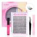 Calailis DIY eyelash Extensions Set 144 pieces D Curl Individual eyelashes with eyelash adhesives and Sealer eyelashes remover and eyelash applicator lash extension set (CDD03 kit)