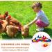 Taicols 100 16mm Chicken Recognition Leg Straps 5 Colors Chicken Foot Labels Ducks Pigeons Guinea Pigs Geese Poultry (16mm) - Buy Online on SooperMarket.com