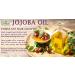 Pure Cold Pressed Jojoba Oil 4 OZ - Natural Unrefined Moisturizer for Skin Massage & Soap Making | 100% Pure Golden Jojoba Oil - Buy Online on SooperMarket.com