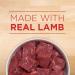 Purina ONE Smartblend Wet Dog Food Lamb & Brown Rice Entr e Tender Cuts + Purina ONE True Instinct Beef & Salmon (Brown) - Buy Online on SooperMarket.com
