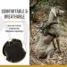 OneTigris Eureka Small Dog Backpack - Hiking Backpack with Poop Bag Dispenser for Small Dogs - Green - Buy Online on SooperMarket.com