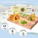 Hotel Amenities Bulk Set - Terra Pure Soaps & Toiletries | 1oz Shampoo, Conditioner, Body Wash, Lotion & 1.25oz Bar Soap | 75 Pieces - Perfect for Hotels - Buy Online on SooperMarket.com