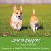 Now Foods Pets Cardiovascular Support for Dogs & Cats - 4.5 oz | Enhance Pet Health - Buy Online on SooperMarket.com