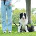 Shop Aystkniet Bungee Tow Leash for Dogs - 30m Shock-Absorbing Dog Leash with Padded Handle & Lockable Hook - Perfect for Medium & Large Dogs - Blue - Buy Online on SooperMarket.com