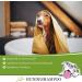 Lillis Naturals Dog Shampoo with Pump Cap - Eco-Friendly & Gentle Pet Care | Shop Internationally - Buy Online on SooperMarket.com
