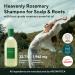 AROMATICA Rosemary Scalp Scaling Shampoo & Conditioner Gift Set - 400ml | Vegan Hair Care with Rosemary Oil for Dry, Itchy Scalp - Buy Online on SooperMarket.com