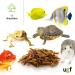 UGF Soldier Fly Larvae (500g) - Superior to Dried Mealworms - 85x Calcium - Ideal Treats for Birds Turtles Rodents & More - Buy Online on SooperMarket.com