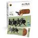 Olyra Organic Hazelnut Carob Breakfast Biscuits, 5.3 OZ Hazelnut Carob 5.3 Ounce (Pack of 1)