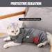 HEYWEAN Cat Recovery Suit After Surgery E-Collar Alternative Pet Medical Surgical Shirt Breathable Home Long Sleeve Cat Clothing L (Pack of 1) Grey - Buy Online on SooperMarket.com