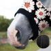 Harrison Howard Soft Fleece Stretchy Horse Head Hood with Zipper - Comfortable All-Covered Design - Large Daisy - International Shipping Available - Buy Online on SooperMarket.com