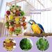 Natural Corn Cob Chewing Bird Toys for Small & Medium Macaws, African Greys, Amazon Parrots, Love Birds | Cage Accessories - Buy Online on SooperMarket.com