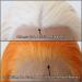 Orange Lace Front Wig - Long Straight Synthetic Hair for Black Women - Heat Resistant Fiber - Cosplay and Daily Wear - Buy Online on SooperMarket.com
