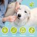 Buy Bamboo Toothbrush for Dogs & Cats - 2 Pack | 100% BPA-Free Dental Care for Clean Teeth & Environment - Buy Online on SooperMarket.com
