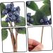 ABOOFAN 15 Pcs Artificial Berry Cuttings Christmas Faux Apples Fake Berries Green Garland Artificial Pine Picks Decor Xmas Tree Picks Blue Flowers Cherry Bean Sticks Iron Dark Bluex3pcs 18X7.5X3CMx3pcs - Buy Online on SooperMarket.com