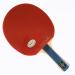 Palio Master 2.0 Table Tennis Racket & Case - ITTF Approved - Flared Handle for Intermediate Players - Buy Online on SooperMarket.com