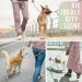 Shop 1.2m No Tangle Dog Training Leash for Medium to Large Dogs Robust Braided Design & Hand Loop Mauve Color - Buy Online on SooperMarket.com