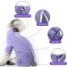 HEYWEAN Cat Recovery Suit - M Purple Stripes | Post-Surgery Bodysuit for Cats | Cone Collar Alternative & Surgical Shirt - Buy Online on SooperMarket.com