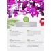 15pcs Bachelorette Straws and Confetti Pack - Crazy Hen Night Straw - Funny Drinking Straws - Bachelorette Party Drinking Straws - Straws Party Pack - Buy Online on SooperMarket.com