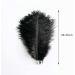 Piokio 20 pcs Natural Black Ostrich Feathers Plumes 8-10 inch(20-25 cm) Bulk for DIY Halloween Decorations  Wedding Party Centerpieces  Gatsby Decorations Black 8-10 - Buy Online on SooperMarket.com