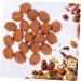 Alipis 20pcs Faux Fruit Decor Walnut Ornament Photo Props Walnut Artificial Food Fake Fruit Walnut Background Pretend Play Food Figure Lifelike Nut Ornament Wedding Birthday Present - Buy Online on SooperMarket.com