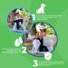 Sailing Trousers for Dogs 2.0 | High-Quality Neoprene Male Diapers - XS Gray - Optimal Air Exchange - Buy Online on SooperMarket.com