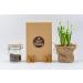 Vietbeans coffee beans try in gift box - four exciting types of coffee for coffee lovers - coffee gift set Whole beans - gift idea coffee - Try 4 x 80g