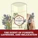 Old Spice Antiperspirant Deodorant for Men Wilderness With Lavender Inspired By Nature Invisible Solid 2.6 Ounce (Pack of 12) - Buy Online on SooperMarket.com