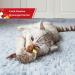 Gigwi Interactive Cat Toys: Squeaking Melody Chaser for Solo Play - Fun and Stimulating Kitten Toy for Boredom Birds - Buy Online on SooperMarket.com
