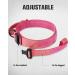 Joyal Tactical Dog Collar | Large Dog Collar with Handle & QR Code | Bright Pink XL - Durable & Stylish - Buy Online on SooperMarket.com