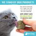 Raw Paws Compressed Catnip Ball Toy 6 Pack for Indoor Cats - All Natural Catnip Interactive Kicker Toy - Catnip Cat Toys for Kitties - Buy Online on SooperMarket.com